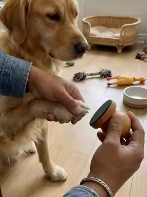This nail trimming tool is very useful#summervibes☀️ #forpets #pet #nailfile #tiktokmademebuyit 