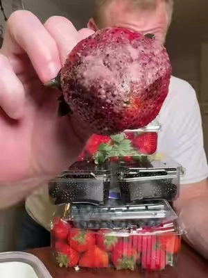 #KitchenHacks #kitchengadgets #kitchen 