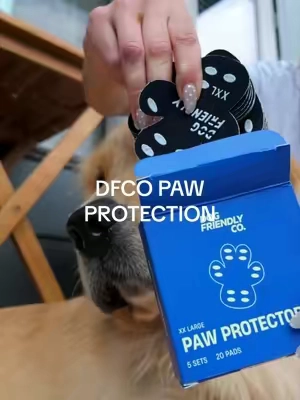 86° outside = 135° on the pavement 🔥 protect your dogs paws this summer! #dogmom #pawprotectors #goldenretriever #texasdogs #wearedogfriendly 