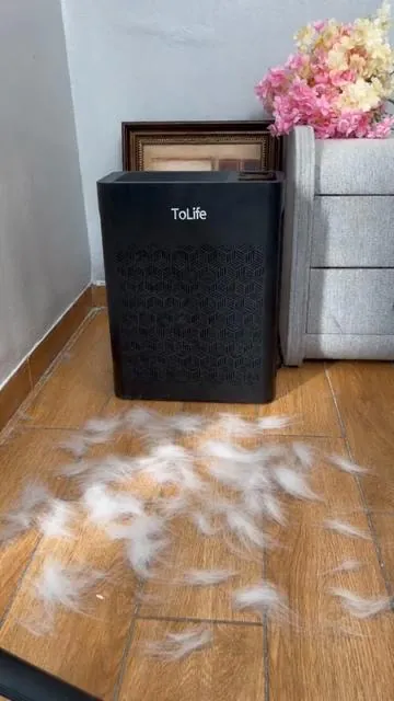 Say goodbye to flying cat fur! 🐱💨 The ToLife air purifier is a literal game-changer for pet parents. My allergies have never been better. Grab yours from the link below before it sells out! 👇🛒#PetFinds#CatParents#AirPurifier#CleanTok#TikTokMadeMeBuyIt