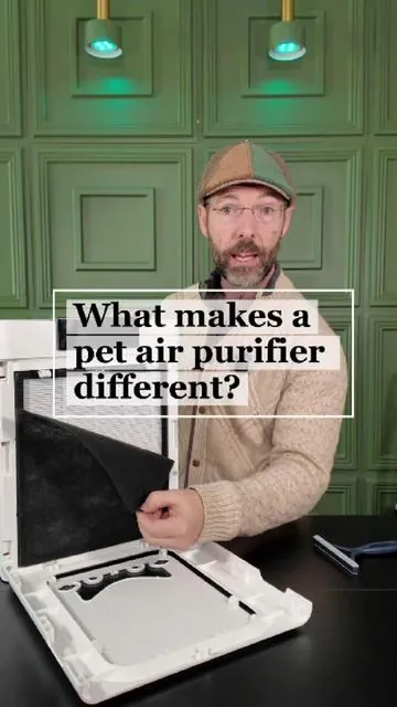 Why pet homes need pet air purifiers. #petairpurifier #airpurifier #catlover #doglover  #creatorsearchinsights @Oneisall Shop US 