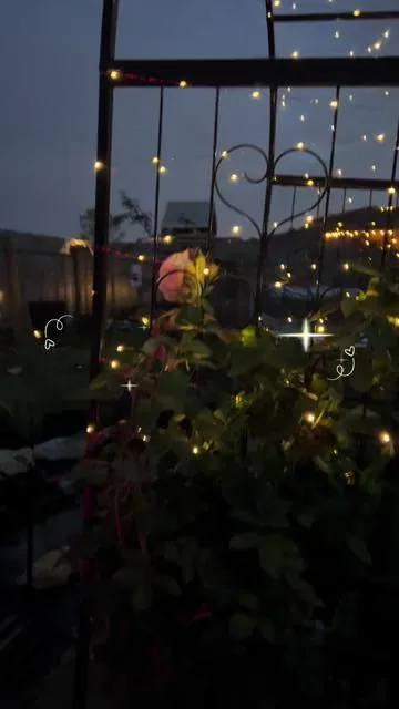 2 pack solar string lights! Give your garden the glow it deserves! It’s linked down below. Don’t miss this huge sale! #solarlight #stringlights #fairylights #outdoorlights #gardenlights 