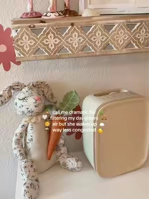 Replying to @Morgan McInaney POV: you finally realized the air in your home matters just as much as everything else 👀 The Canopy bedside air purifier has been such a game changer for my daughters’ room. Less congestion, better sleep, and peace of mind for this mom. Plus it’s actually aesthetic enough to leave out on the nightstand or dresser🧸🌿🧺 #airpurifier #bedsideairpurifier #momfinds #tiktokshopmemorialday #SummerWins Best air purifier for baby, kids room air purifier, baby bedside air purifier, small table air purifier, canopy air purifier and aroma diffuser. 
