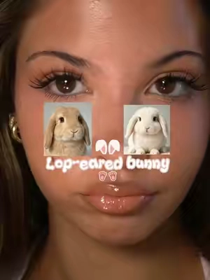 @OKAYLOVE Would you dare try this bunny lash style? Let’s create dreamy lop- eared bunny eyes together! #bunnylashes #okaylovelashes #lashclusters #lashes #mangalashes 