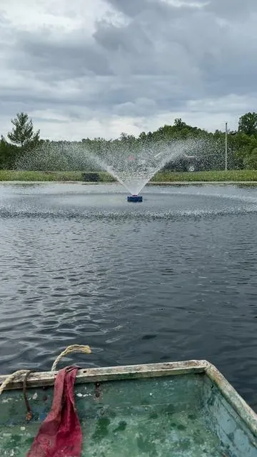 Love it! #pond #fountain #tiktokshop 