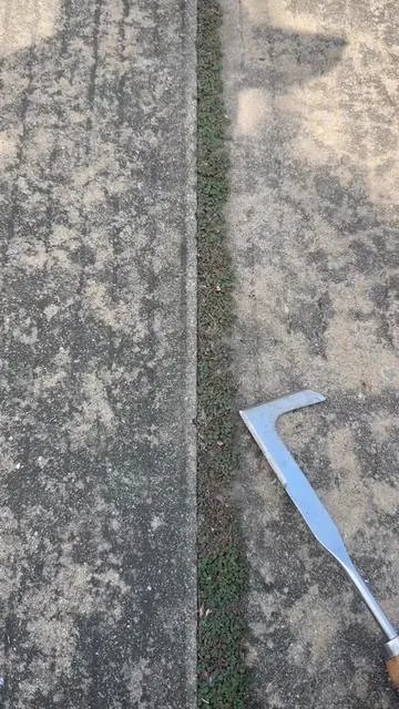 Do you have better tool for this type grass in crevice? #magictools#concretecrevicetool#drivewaycracksgrass#TikTokShopDealsforYouDays #fathersdaygift