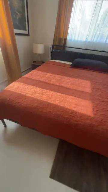 One great thing from the TikTok shop is this. 