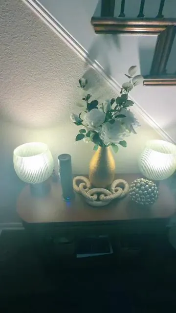 RUUUUUUUN!!!! They weren’t lying! I promise I didn’t think it would travel all over my house but it did. 