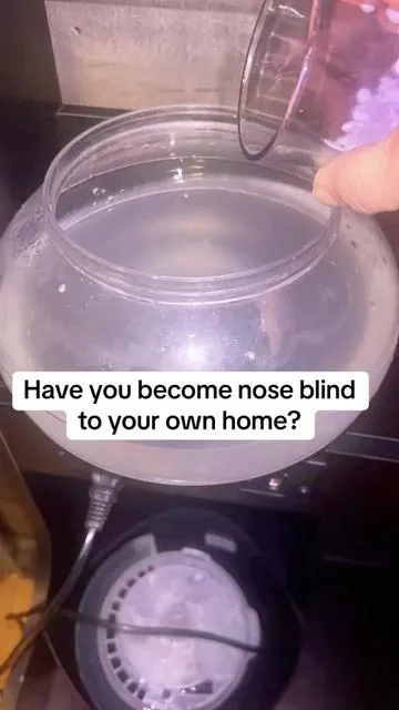 I never realized how easy it is to become nose blind to your own home until I started using this in my everyday routine. The scent beads + the cozy glow completely changed the feel of my space. It’s become my favorite little evening reset lately ✨ #homefinds #airpurifier #homefragrance #cozyhome #cleanhomevibes        