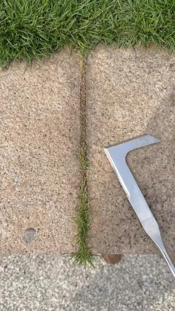 Do you have better tool for this type grass in crevice? #magictools#concretecrevicetool#drivewaycracksgrass#TikTokShopDealsforYouDays #fathersdaygift