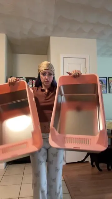 It’s time to get rid of those plastic litter boxes!! #cats #catsoftiktok #etherealkaleigh 