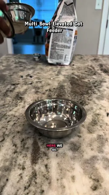 Cat feeders are great but elevated cat feeders are even greater check this out #cat #catsoftiktok #cattok #catmom #catlover 