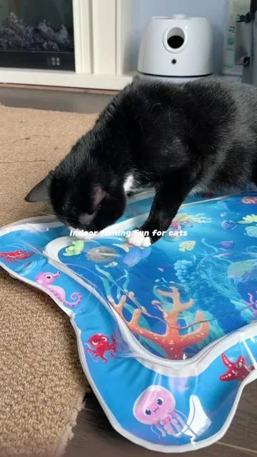 The moment he touched the water mat…#cat #catlove #catpick #cattoy #coolingpetmat 