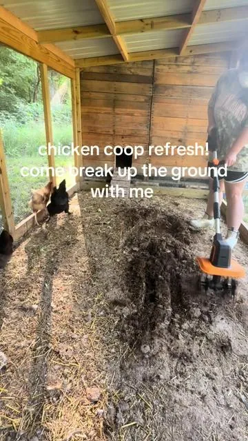 The best option for small gardens and chicken runs! #chickenkeeping #chickens #farmlife #homesteading #fyp 