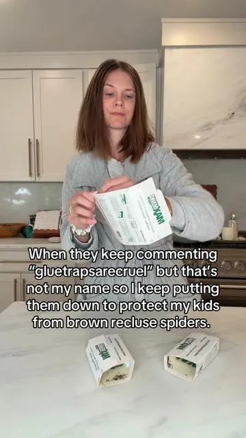 Nothing works harder in this house than a sticky trap, and maybe a Zevo 🤣 #pestcontrol #spidersaga #northwestarkansas #brownrecluse #spiders 