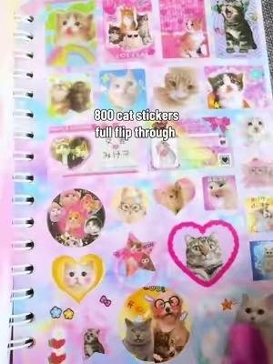 If you find one that matches your cat, screen shot it and leave it in the comments! #SummerVibes #tiktokshopmemorialday #catstickers #stickerbook #catlover 