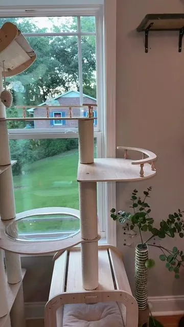 Wide open automatic litter box. Cats prefer the open space to move around and cover their buisness! Large cat approved and the safety sensors are amazing! @ONEISALL-US #automaticlitterbox #litterbox #largecat #cat #catownerproblems 