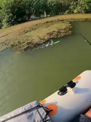 Catfishing with the Whopper Plopper!#fishing #catfish #lure #whopperplopper #topwater 