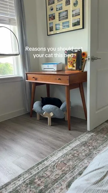 Plus it actually looks cool in your home👏🏼 #cattok 
