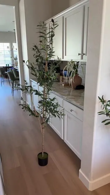 Hurry before it sells out #olivetree #fauxolivetree #olivetreewithpot #artificialplants #artificialtree 