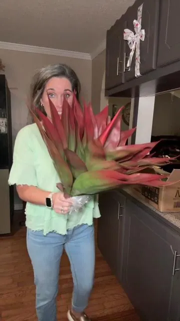 #agave #artificialplants #gardenproject #yarddecor #tiktokshopcreatorpicks 