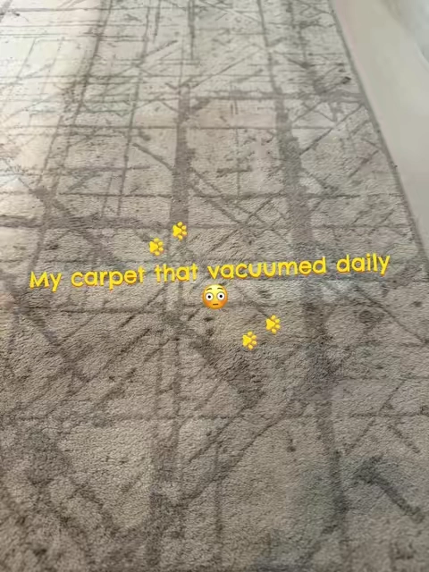 I’m not okay after seeing this 🤢 Swipe through to see what came out of a carpet I vacuum every single week.  #sharkcarpetxpert #carpetcleaning #tiktokshopdealsforyoudays #tiktokshopsummerturnup #tiktokshopcreatorpicks 