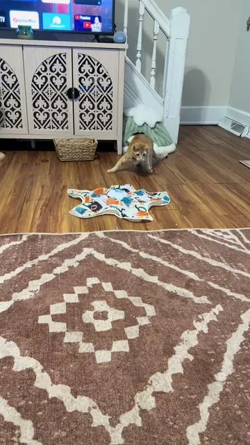 #