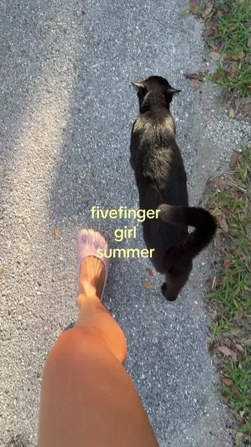 sorry i cant. im on a barefoot walk with my cat #fivefingers #toeshoes #barefoot #barefootshoes #naturewalk 