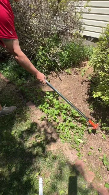 This tool is so so good and effective in the garden. #gardening #yardwork #tools 
