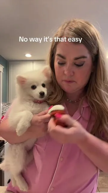 I always hated filing my dogs nails… this makes it so easy!! #dognailfile #kobetheeski #americaneskimo #PetsOfTikTok #tiktokshoppets 
