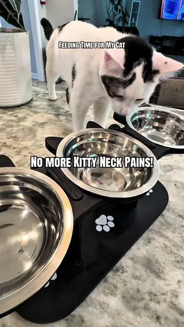 Multi bowl cat feeder that helps with neck pains and neck strain for cats and dogs! #petlover #petowner #catlover #catmom #cats 