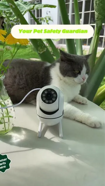 If your camera can't see in full color at night — what's the point? #summerwins #WeeklyDeals   #pbsev #wificamera #homesecurity 