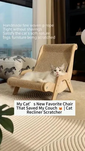 My cat’s new favorite chair that saved my couch #cat #board #hammock #sofa 