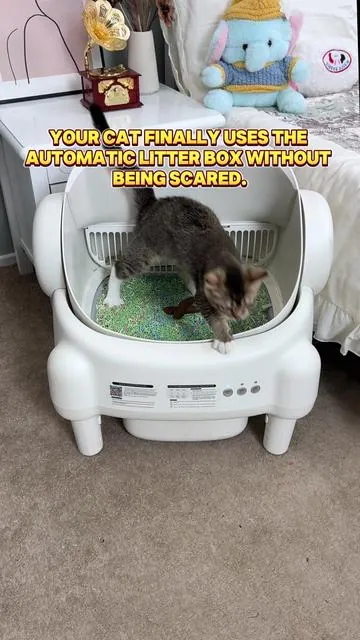 POV: Your cat finally uses the automatic litter box without being scared.#cleantok #tayacicy #catlitterbox #petstagram  #automaticlitterbox  #tayacicylitterbox  #catsoftiktok #homeupgrades #tiktokshopdealsforyoudays  #summerwins #DealsForYouDays 