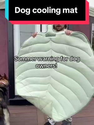 He is on it all the time! #dog #cooling 