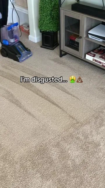 Finally, I grabbed one because of the sale! 😭 What’s inside your carpets? #carpetcleaner #carpetcleaning #bissell 