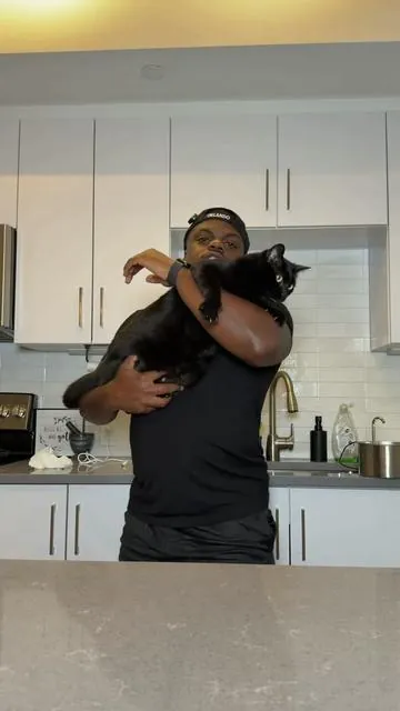 I didn’t realize how much maintenance regular fountains needed until I switched to this filter-free cat fountain 😅 Less upkeep, cleaner water flow, and my cat actually drinks from it every day. #CatWaterFountain #PetFinds #CatCareTips #CatProducts #CatLife        