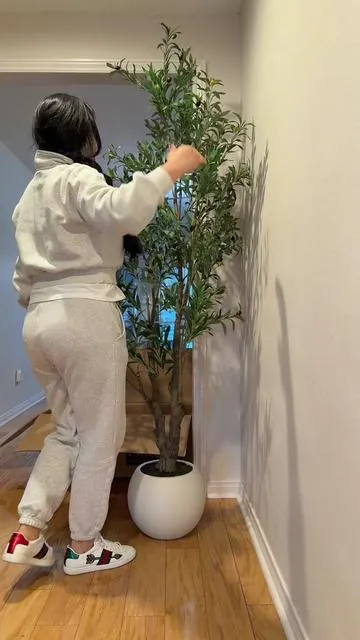 Me encanta que trae todo incluido #homedecore #olivertree #tuto #newhouse  #paratiiiiiiiiiiiiiiiiiiiiiiiiiiiiiii 