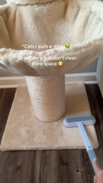 Daily clean up of the places my cats hang out most  #catsoftiktok #petfur #catmusthaves #catmom #petproducts 