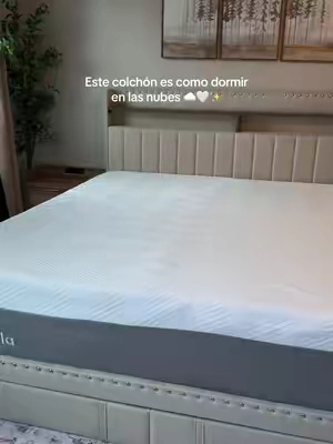 Ahora sin doles de espalda☁️😍Es de Espuma viscoelástica sin fibra de vidrio🤩#novilla #novillahome #memoryfoammattress #colchones #colchondenubes 