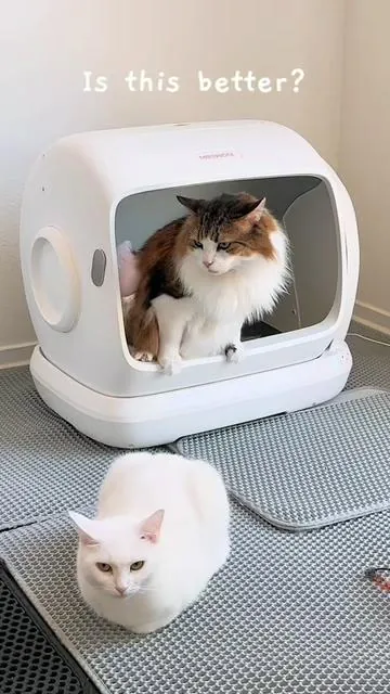 ✨SC02 vs SC09 MeoWant✨ I used two SC02s (the smaller version) for 3 years and absolutely loved them. They’re compact, easy to clean, do a great job containing odors, cycle efficiently, have solid safety sensors, and all of my cats were comfortable using them. I don’t really use the app’s weight tracking since it’s not very accurate with my 4 cats, especially when some of them weigh about the same. That’s actually why I installed a camera instead. 😆 For context, I’ve also used the Litter-Robot 4, Luma, and Leo’s Loo Too. One small thing that made deep cleaning a bit more difficult on the SC02 was the screws holding the bottom liner in place. It wasn’t a dealbreaker, but since I like to do a thorough cleaning every month, I even tried unscrewing the liner to clean underneath it. 🤣 So when I saw that the SC09 had no screws, I immediately felt like it was the upgrade I’d been waiting for! The overall experience is very similar to the SC02, but with a larger interior that’s more comfortable for bigger cats. Honestly, it feels spacious enough that two cats could probably use it at the same time. 🤣 I really feel like the SC09 delivers a lot for the price. It has many of the features I look for in an automatic litter box while staying on the more budget friendly side compared to some of the other models I’ve tried💖🐾 Hope this might be the automatic litter box both you and your cat might enjoy using ! #litterbox #litterrobot #automaticlitterbox #catlitter #tiktokshop 