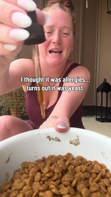 If you’re tired of seeing your poor dog now on their feet or clawing their ears you’re going to want to look into these yeast drops from @Carmelie Store #yeastinfections #doglover #dogswithallergies #summervibes #dealsforyoudays 
