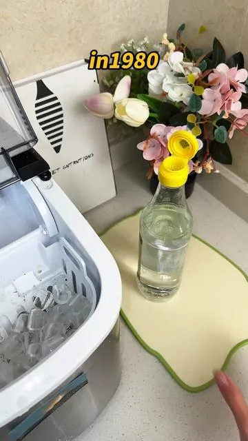 Those ice maker contaminants are absolutely repulsive.#icemaker #cleantok #gross #ice #icemakercleaning 