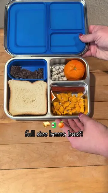 This stainless steel bento box is such a good option for back to school if you are trying to stay plastic free! It’s so spacious and can fit so much food. #bentobox #bentoboxlunch #backtoschool @pawtong #dealsforyoudays #summerwins 