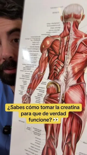 ¿Sabes cómo tomar la creatina para que de verdad funcione? Todos los días — no solo días de gym. 5g en tu bebida favorita. 👀 Como NP: sin gym → café de la mañana. Con gym → después de entrenar + algo con azúcar para la absorción. Y siempre suficiente agua. El ATP que genera también es energía de neuronas — salud cognitiva incluida. NeoCell: 5g creatina + 3g péptidos de colágeno + 1g taurina. Sin sabor. Sin azúcar. El producto que YO uso 👇 Preguntas en los comentarios. --- #creatina #comotomarcreatina #tiktokshopcreatorpicks #creatorsearchinsights #dealsforyoudays 