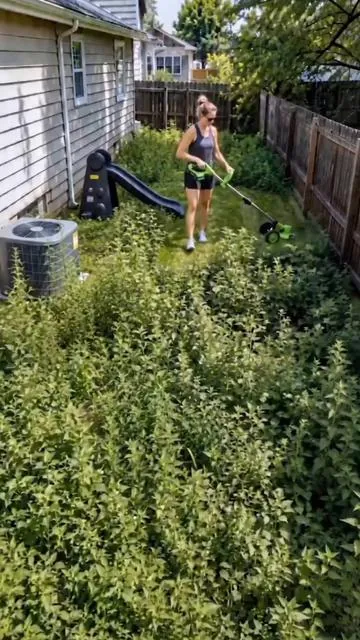 If you don’t destory these lawn invaders now,they’ll take over entire neighborhood #lawncare #momsoftiktok #ai 