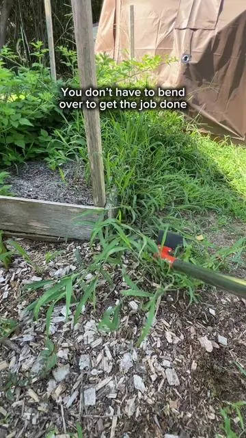 1000% Recommend. #weedpuller #weeding #hoe #gardeningtips 