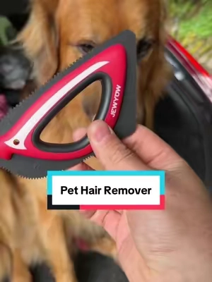 I might cost me some business but that’s how we do it!! #pethair #pethairremoval #petbrush #dealsforyoudays #tiktokshopcreatorpicks 