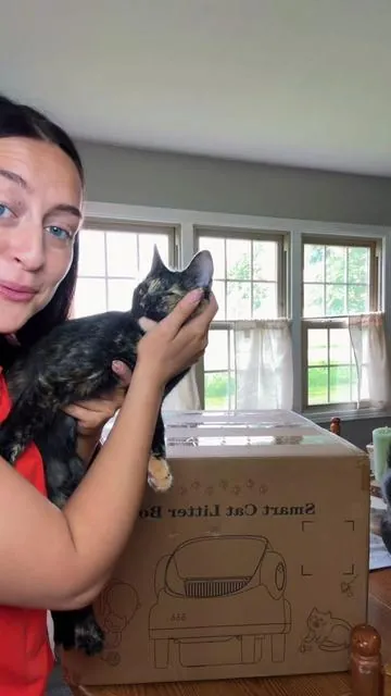 Self cleaning liter boxes are game changers 🐱😻 #catsoftiktok #cat #cleaning #catmom 