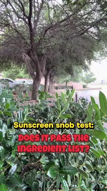 Okay I’m a sunscreen snob and I won’t apologize 🙅‍♂️ If you’ve ever had sweat drip that nasty sunscreen taste into your mouth on a run, you get it. And the white cast? No thanks. Medicube No Cast Just Dew skips water as the first ingredient and uses three types of dimethicone instead, one of the only things the FDA cleared to say it truly hydrates your skin 💧 SPF 50, zero cast, dewy not chalky. #tiktokshopcreatorpicks #kbeautycollective #koreansunscreen #philsmypharmacist #dealsforyoudays 
